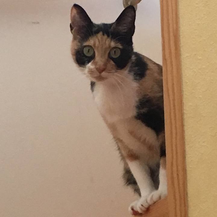 6d38ce74 f379 4c31 967c 81e8231a99b1 1510060106339