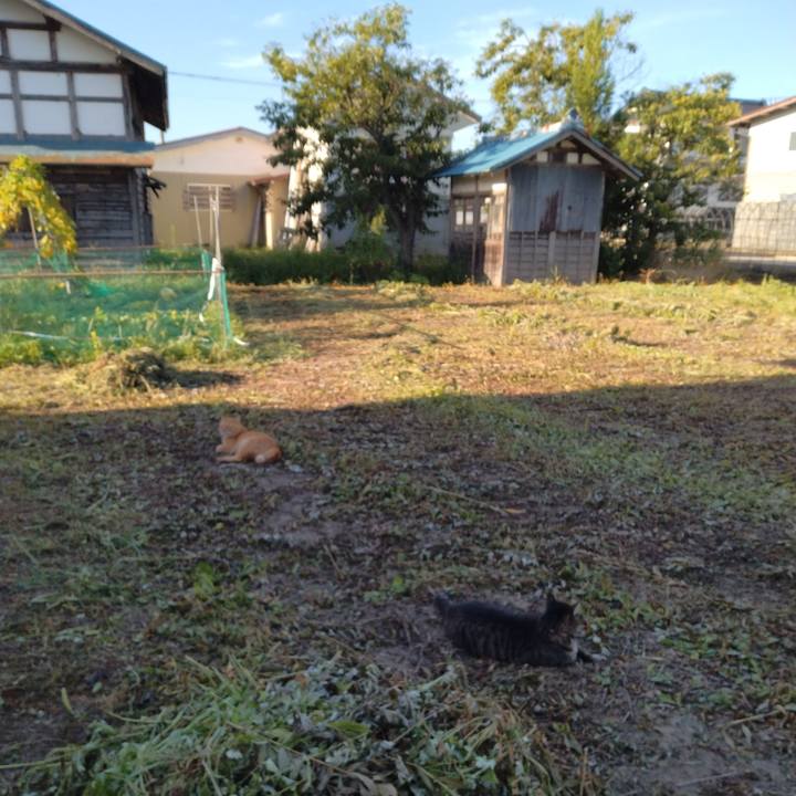 6d38f507 dc06 48a9 846a 467df6acb30c 1693525790932