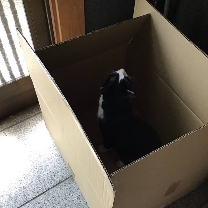 6d391f98 0f3c 4414 91b1 7977753af91c 1756279423033