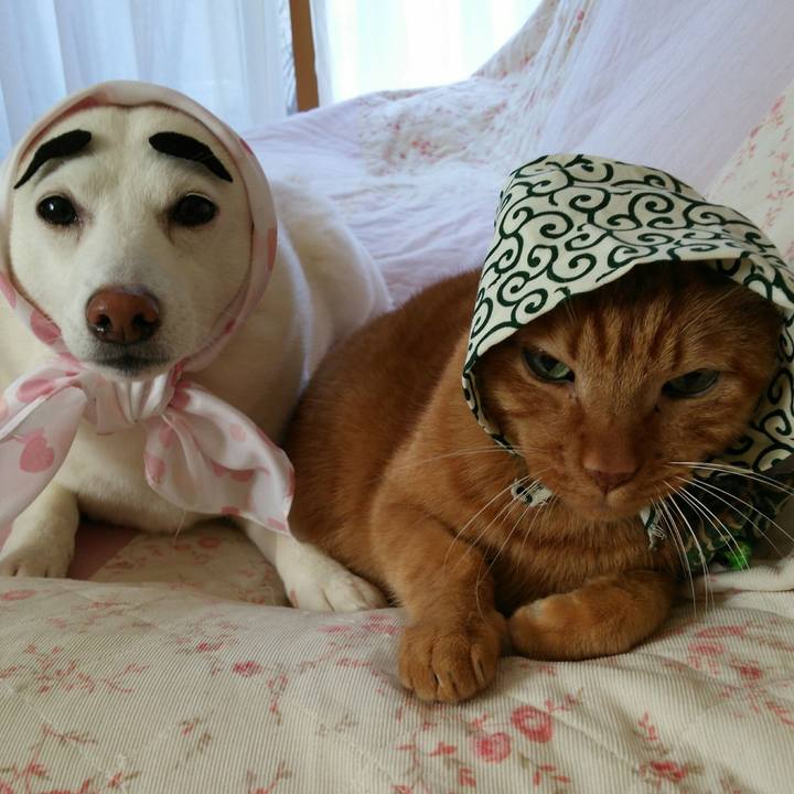 6d392fda 8698 40e5 b93a c1f7cd262b25 1550973846138