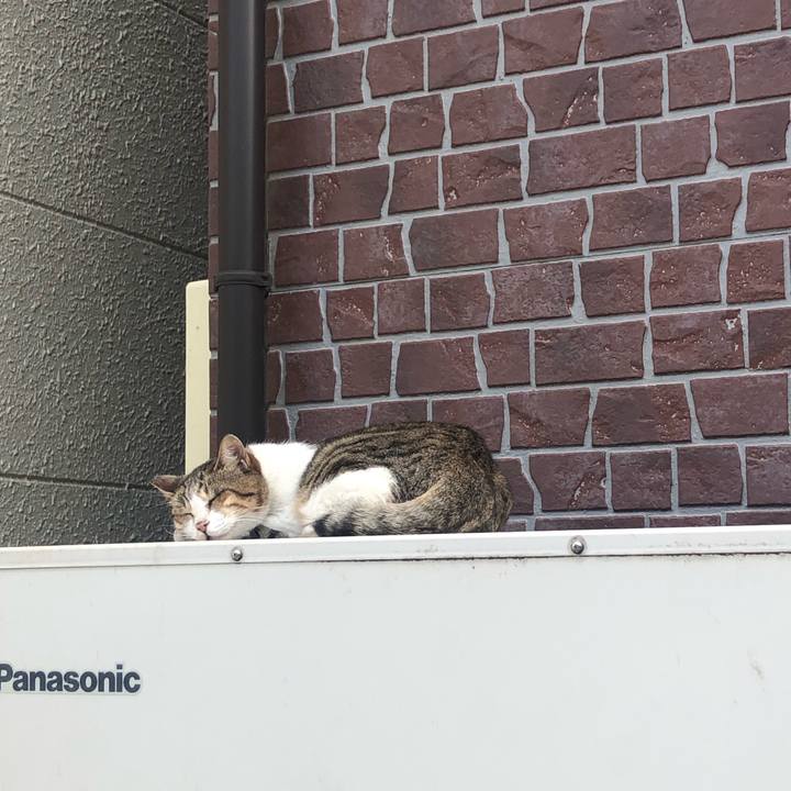 6d393f08 de77 43b0 8a4a b4b26973b0a7 1568466662812