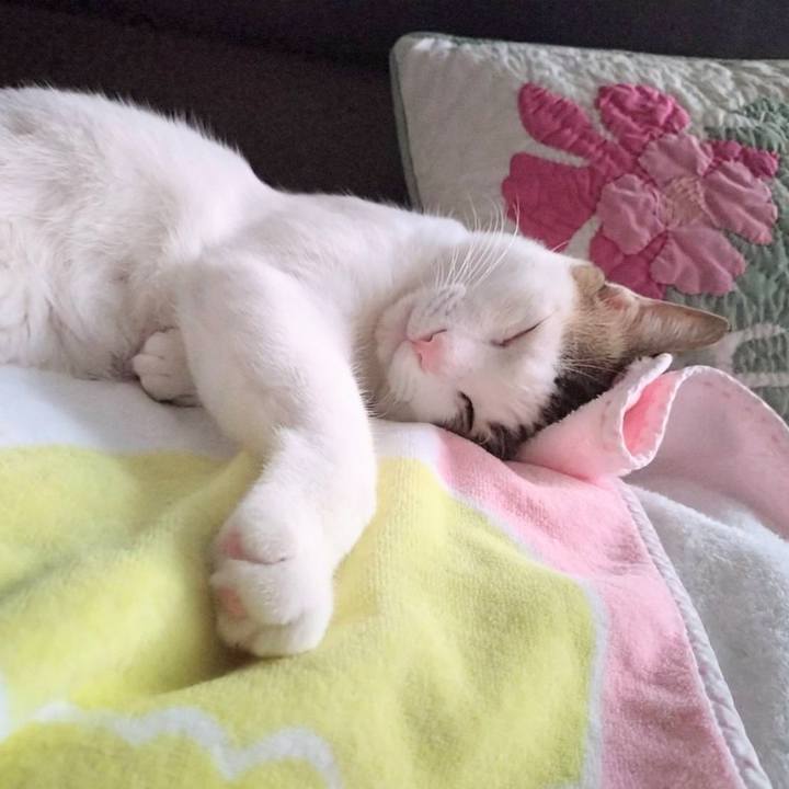 6d394383 d74b 42f6 8410 4e054f56545f 1746266374065