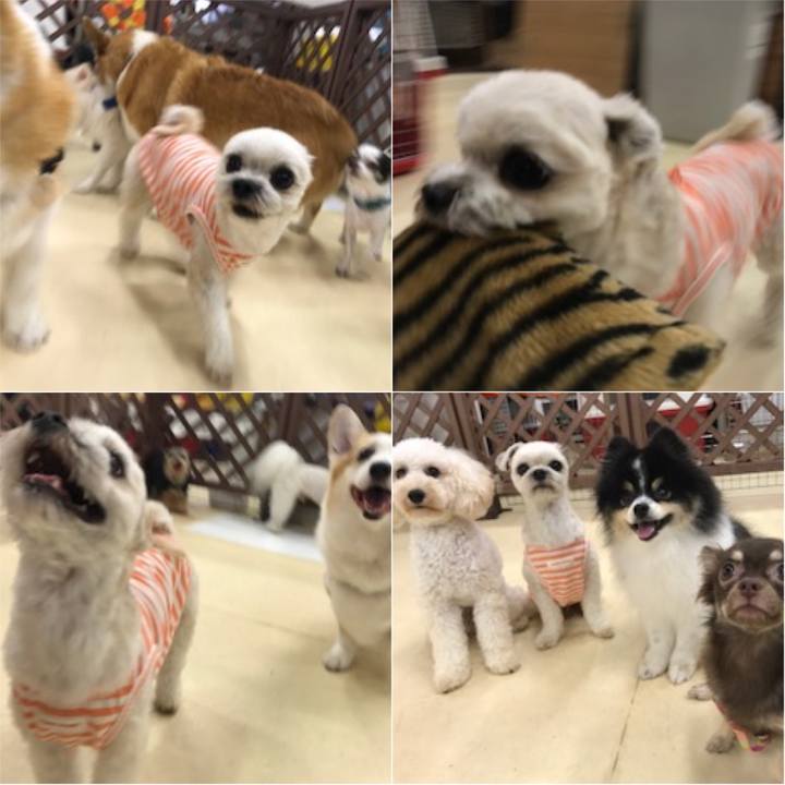 6d395668 74a7 4423 a11a 19688b602803 1531825360377