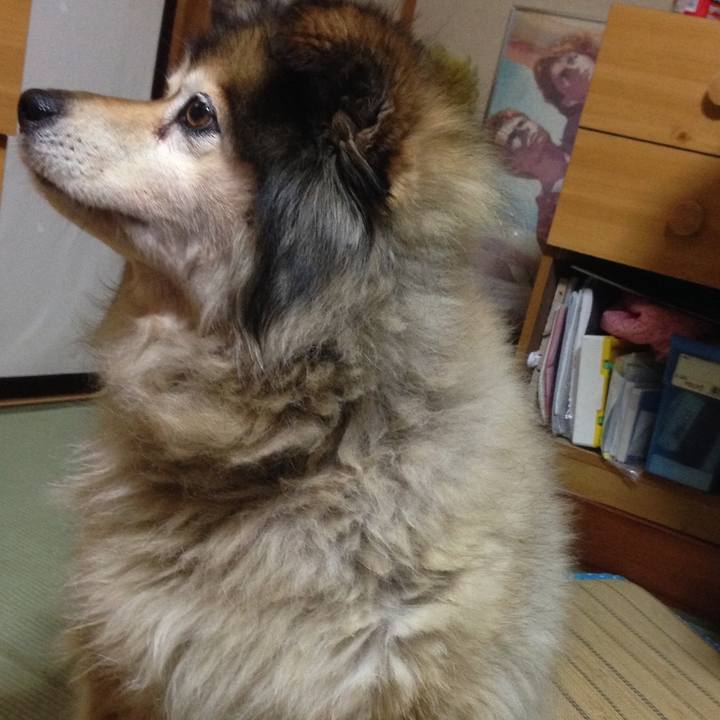 6d395a35 d1e7 423b 85b9 454e7f341755 1625426239593