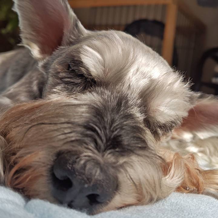 6d395e2c 23cf 4779 83fa 6d72df85c597 1763187869819