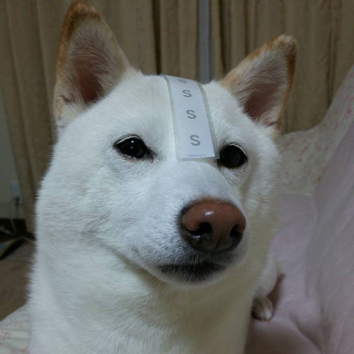 6d397938 9086 45f0 9436 1f5beff2998a 1554983447241