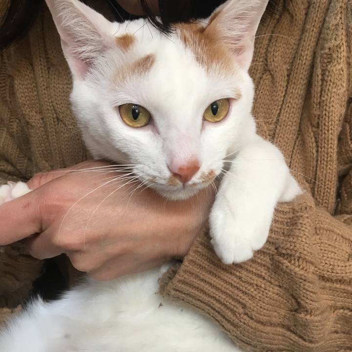 6d39fb5e 1014 4cee 87c2 82e33c88e927 1515569982457