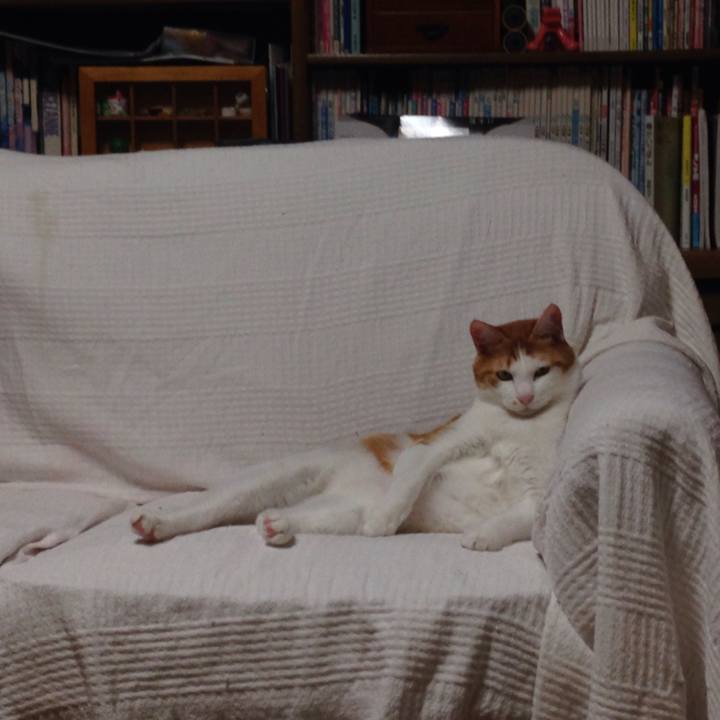 6d3a1edf 9ccc 4458 b64e 287b7cc96e8f 1510057743498