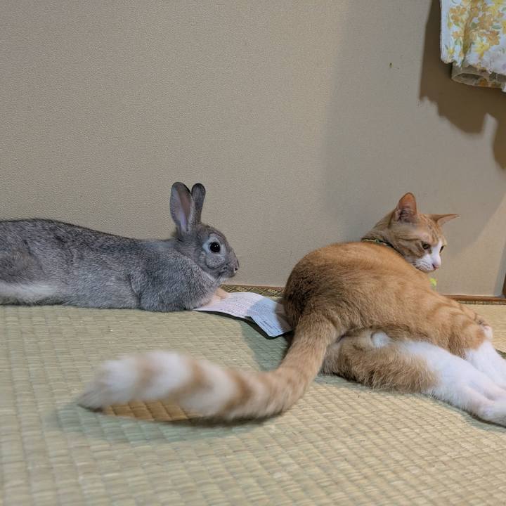 6d3a41d8 5c1d 4dce 9e5d 22b4a3d37b68 1759550393280