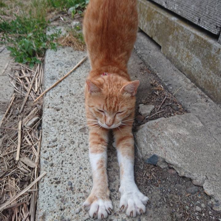 6d3a5938 0fa3 4e36 8ad6 96273b2d85a3 1561107910336