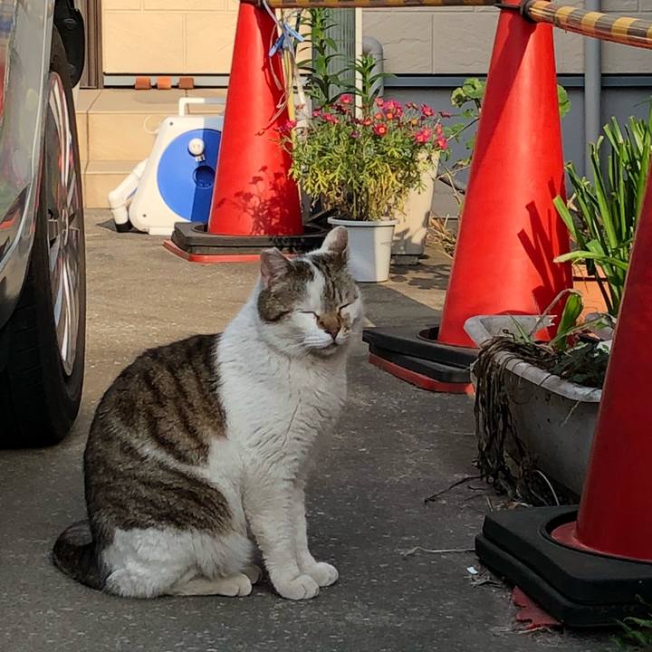 6d3ab640 7246 482a 83af d420bceed126 1522832020103