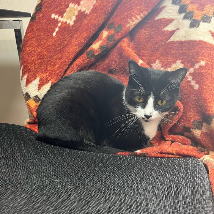 6d3aba18 f04d 4b12 8069 751cdc368c0d 1712898452666