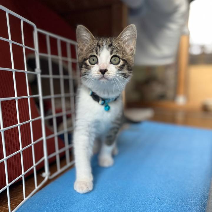 6d3ada5b e833 43dd 9a84 d2391bfe4e45 1766294805750