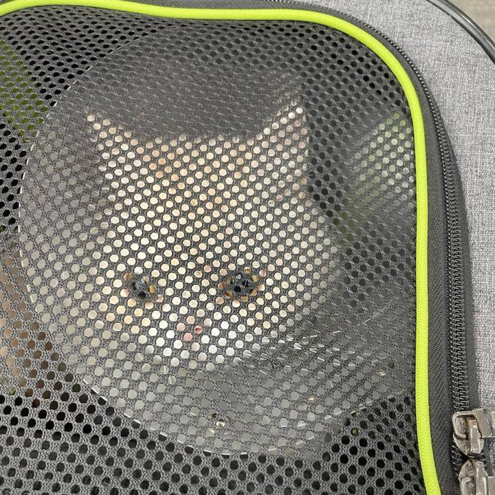 6d3aec98 1e2f 48d0 83f5 aa95947b97c8 1763257038071