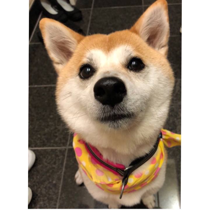 6d3b22dd dee3 450a bac5 b12c69b76280 1531481755056