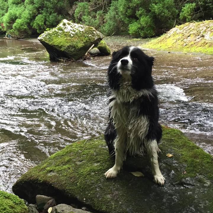 6d3b38f2 835d 4ce9 ac2a ab4ac12b8954 1530532298180