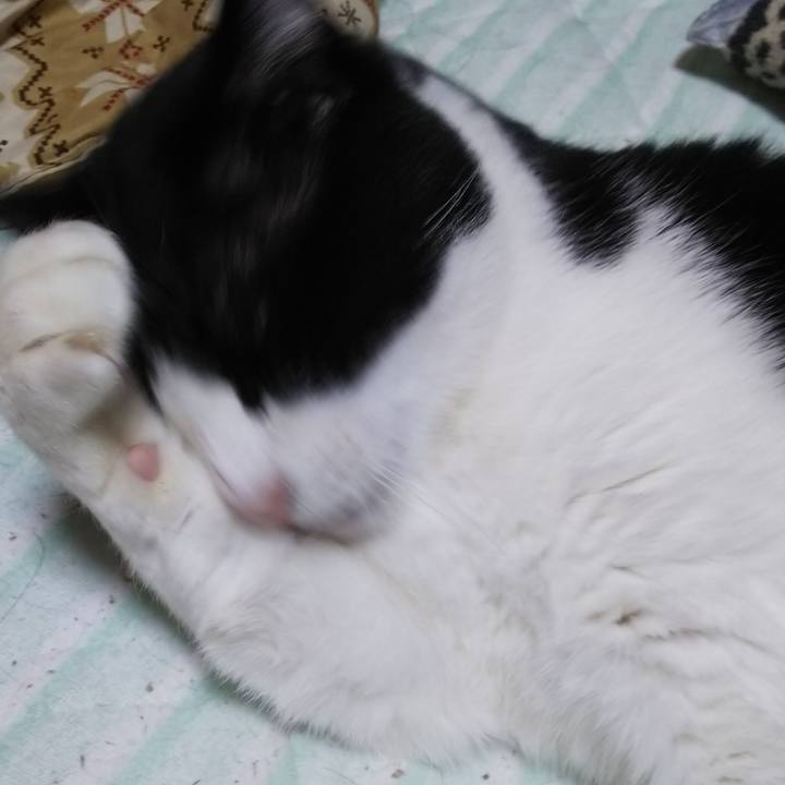 6d3b597d ef6b 4195 8cb7 54dd85384f22 1547584982874