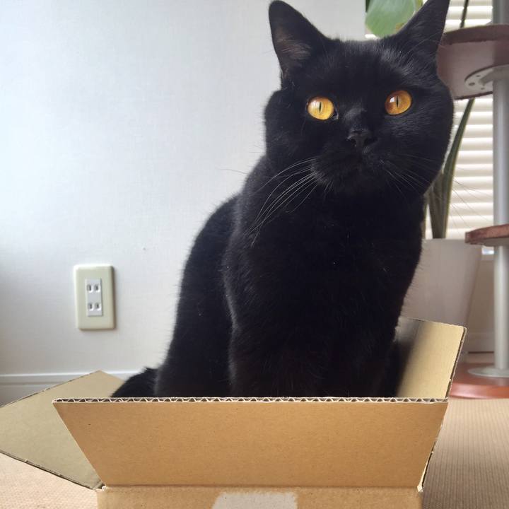 6d3b9ff5 df15 4be8 9b7a bcfd47c16edd 1554075294749