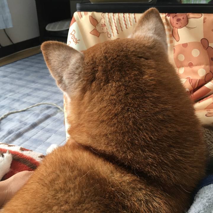 6d3bbf27 3278 4dac b4bd c4e7ad7aa742 1547170616656