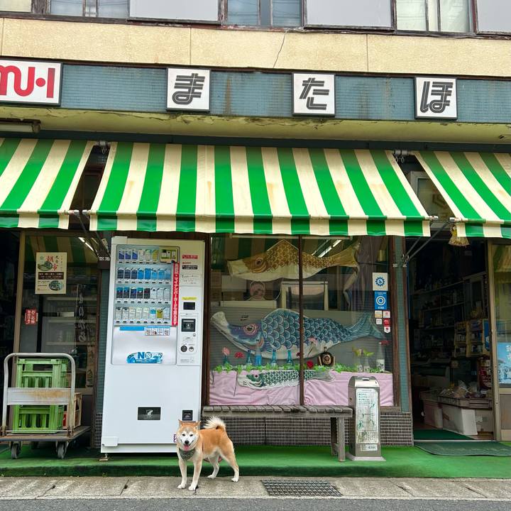 6d3bc779 b7a9 466b bf7b f0f33b1409e3 1747997435569