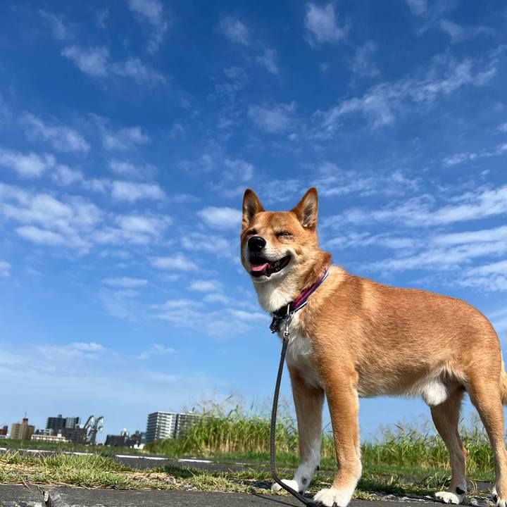 6d3bcee2 5669 453a 9e10 7e3dcce6b674 1754699593334