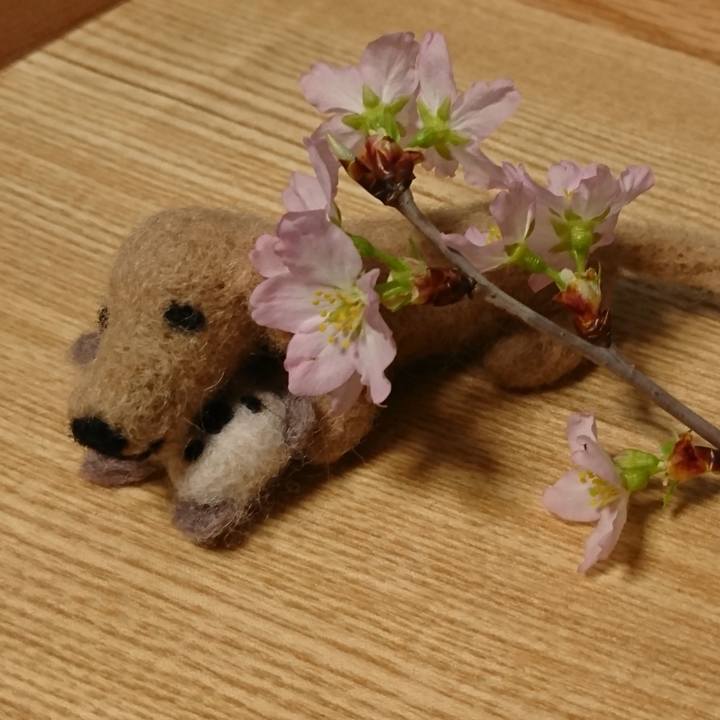 6d3bdb40 3857 4f53 b249 f51d369110d0 1551028258000