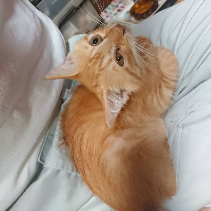 6d3be3e0 6400 4cf2 ae55 85403c055833 1630144688402