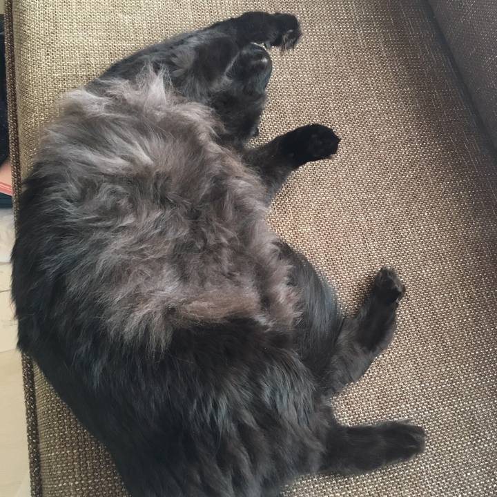 6d3bf1c4 597d 4a16 9aa6 4cb239d99d03 1508895405171