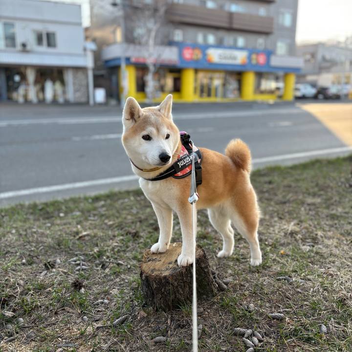 6d3c0cb6 ed0b 4438 be4e 8946a0ae7135 1775035273896