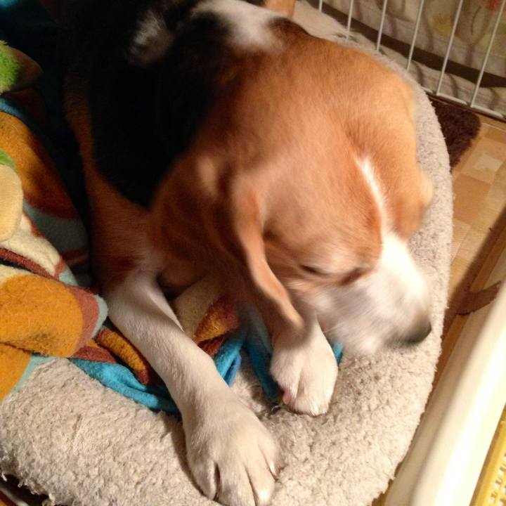 6d3c3855 b9ed 4398 9714 1a8a33fba9ba 1740792638110