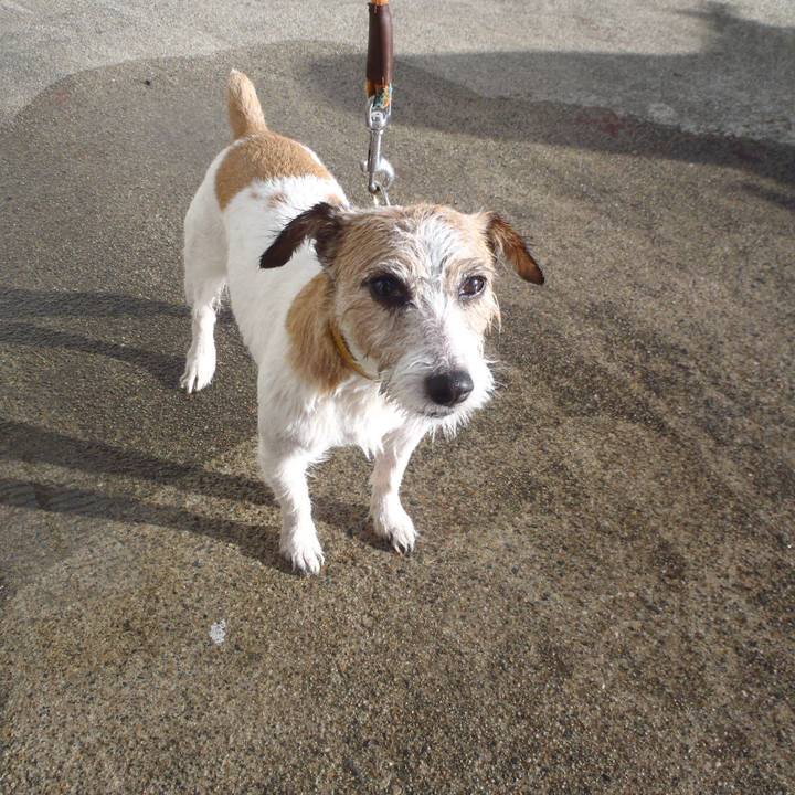 6d3c627c a153 4d60 a0d2 489bae99f73f 1534899434064