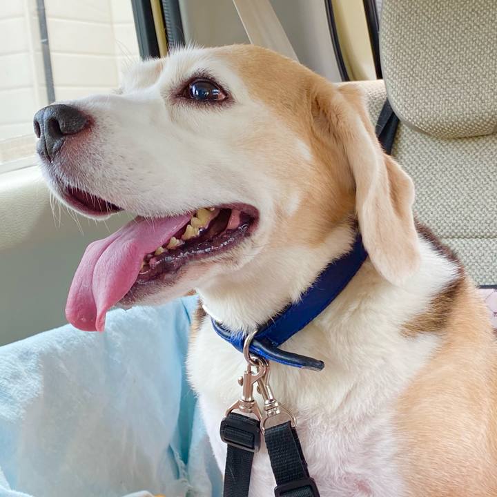 6d3c78af 661a 4ccf 9c9a 8c63e11d055b 1601343246690