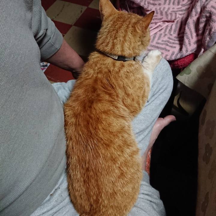 6d3c8e02 e9b5 4052 a805 f9b08d51b753 1590352004196