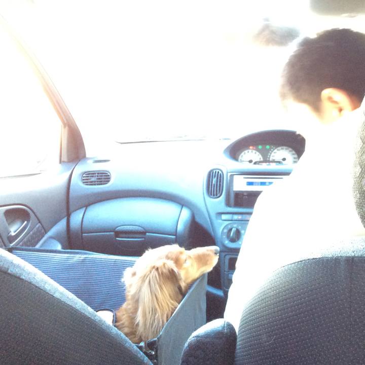 6d3c998e c7bd 4049 8f54 4336542624af 1522220436638