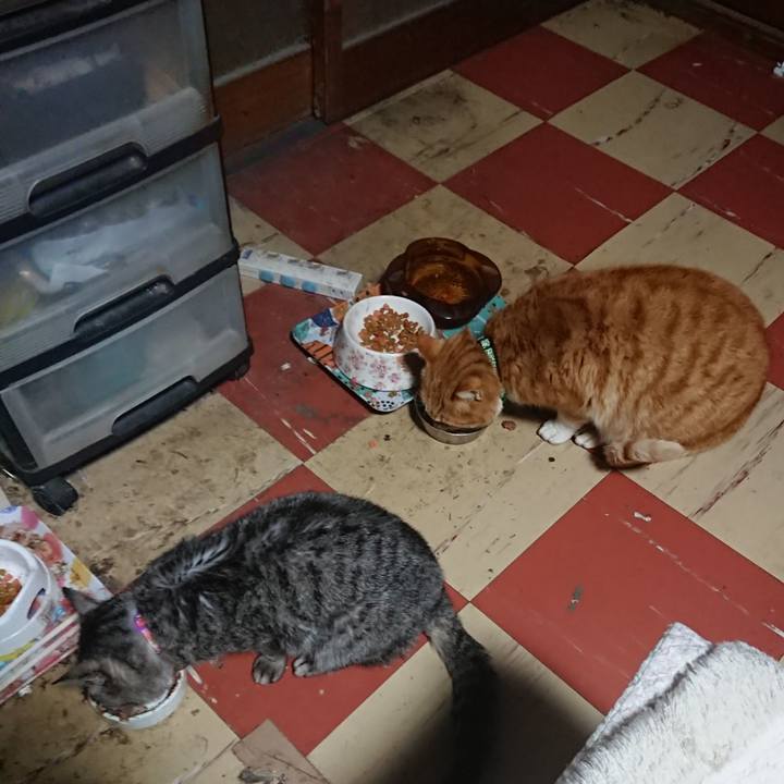 6d3ca597 12a8 48dc 912c ded9b098c5f7 1581108531093