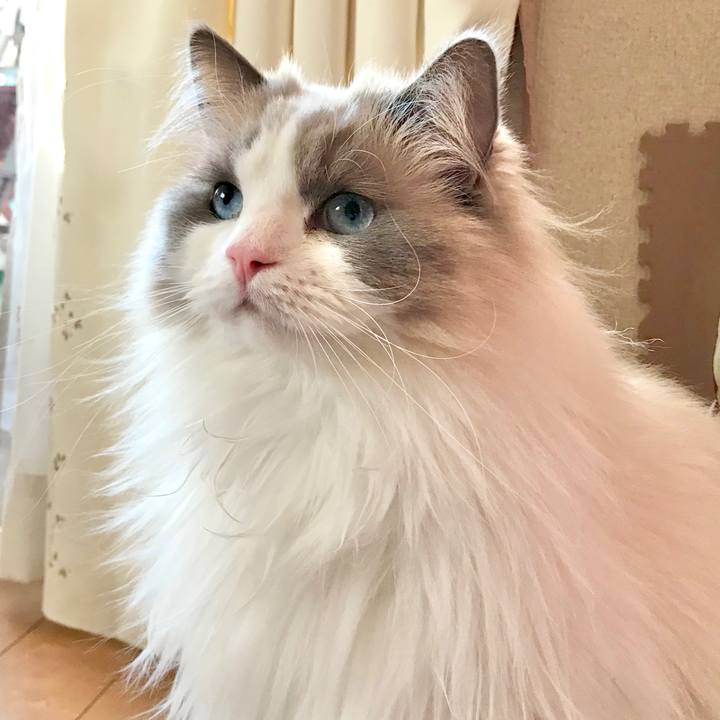 6d3cbcd2 3d0d 42f7 9a3c 26b5620379d9 1594296492556