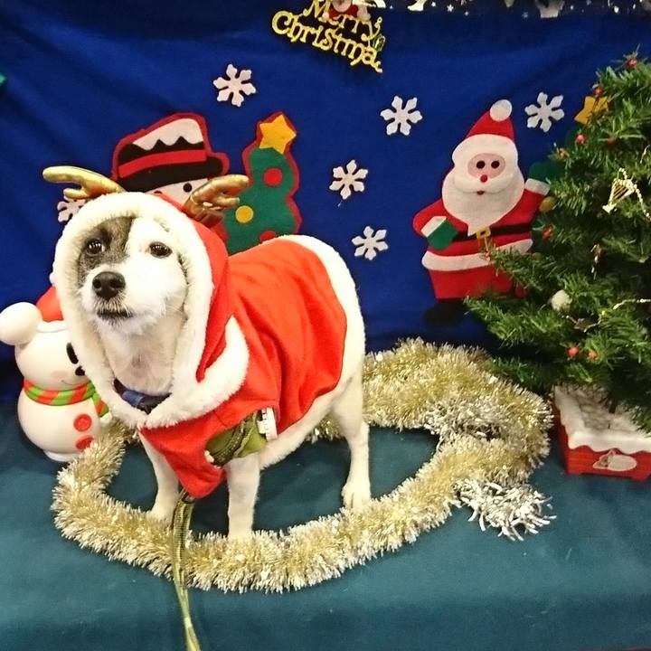 6d3cd13d 402c 4444 8161 f6d54ff34a32 1514070409524