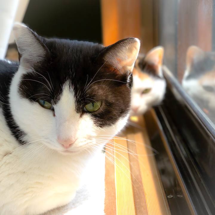 6d3cda3a 0e6a 402c 82df baab83c9c93c 1556675613134