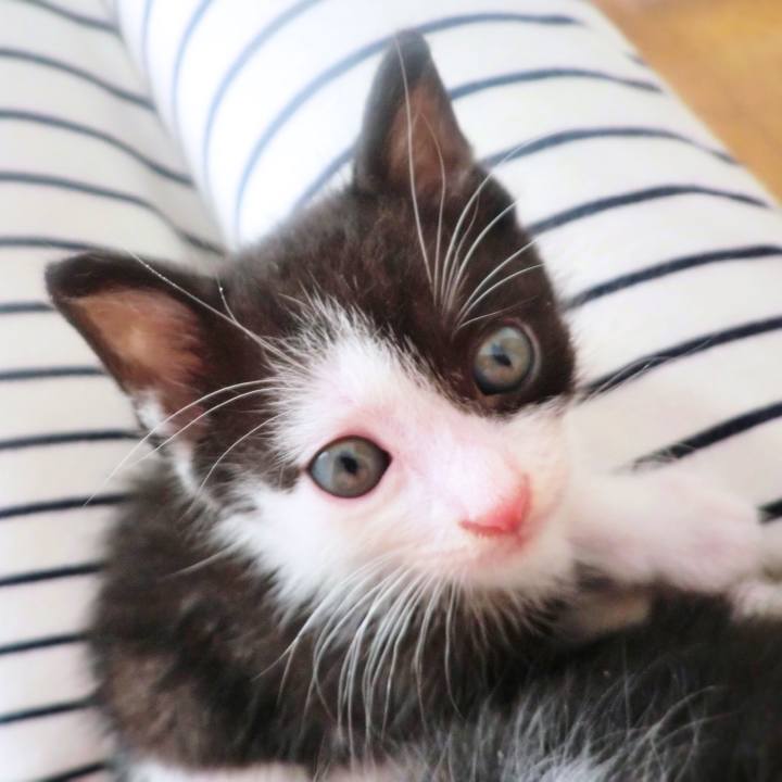 6d3ce760 cf8e 4a44 ba0e d216e3c4e43f 1576286690595