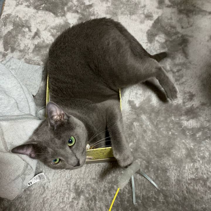 6d3d2e24 1b1b 4412 baab fb55f79ae211 1622253343754