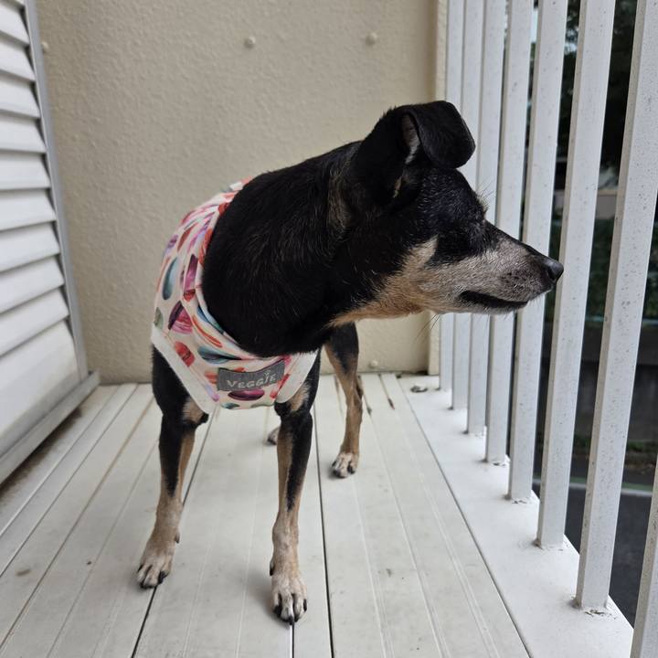 6d3d815f 9304 4ec1 9aed 1126bb8fc534 1758948729635