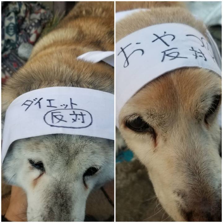 6d3dab67 d12a 4458 903a ebe33abf064c 1752637173491