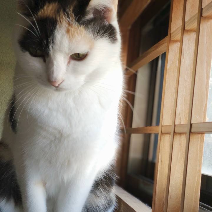 6d3de03d 18e7 45e4 8270 67db2d671fd3 1542861965543