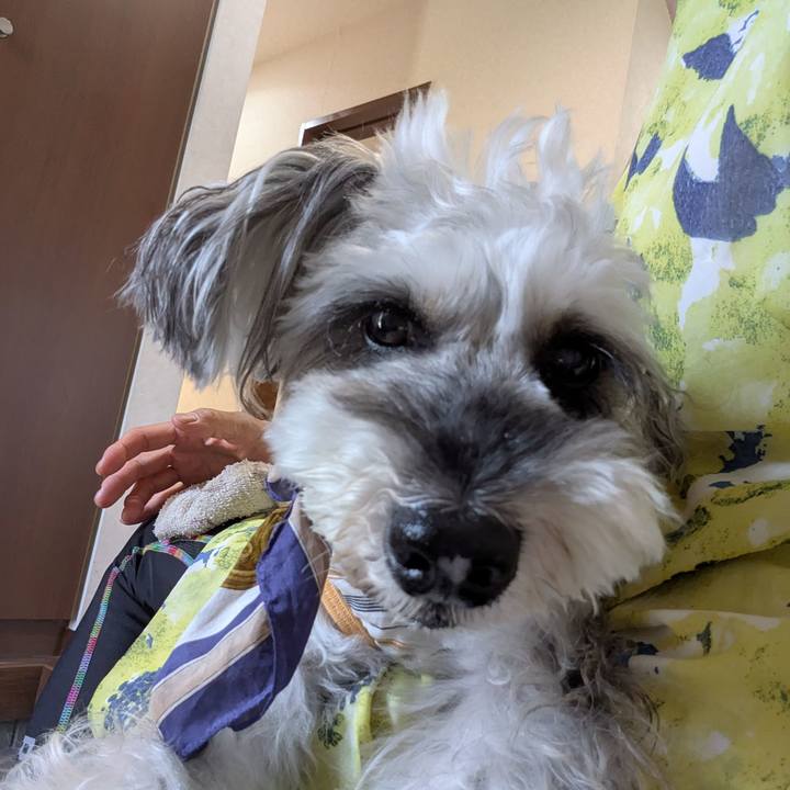 6d3e06d5 848a 406a b799 9c580bd187a2 1756175397415