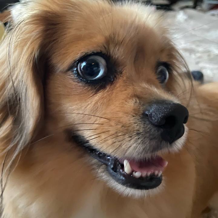 6d3e1612 b799 4b54 933d 9714c844bb90 1595888513287