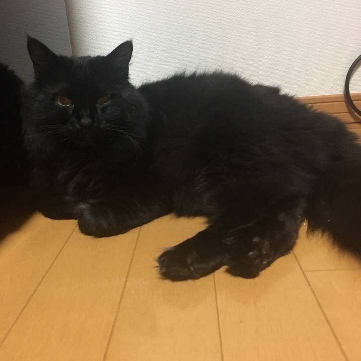 6d3e40d5 9635 4e86 bcfa d6690d6b14d9 1558196283823