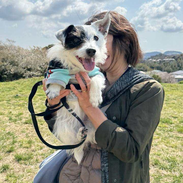 6d3e5522 d15c 4fd4 8e2b 5285707da972 1744161301810