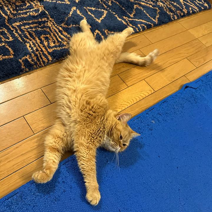 6d3e5906 c6f5 4407 af5d 5be273c41fc7 1757937542169