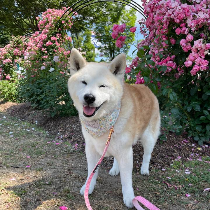 6d3ea910 d3a2 472f 9068 391b803a0adf 1654367598624