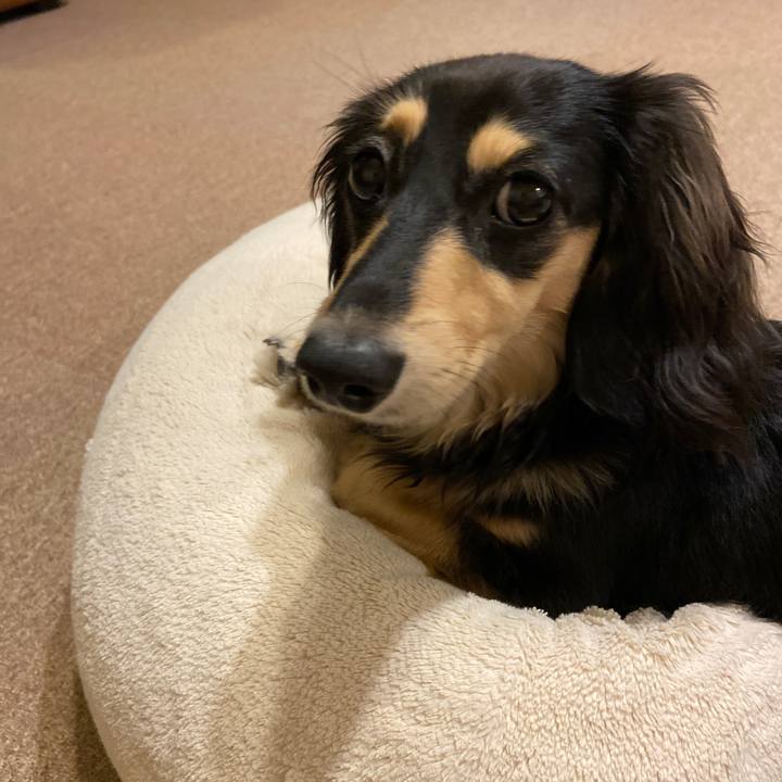 6d3ebfcc 7002 462d b1b2 e93a416d7b81 1687180873296